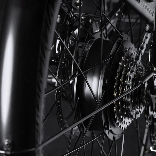 IGO Metro CX City Step Through Electric Bike
